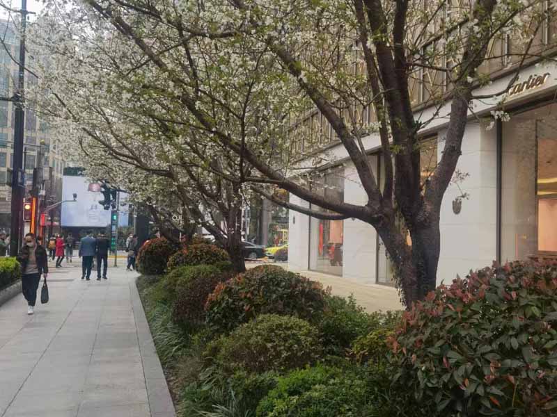 一不小心陷入騙局？上海集資詐騙罪律師揭秘非法集資常用手段