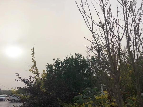上海警方打掉一走私團伙！上海走私普通貨物罪律師告訴您