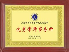 上海著名刑事律師